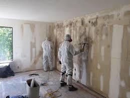 Best Mold Odor Removal Services in USA